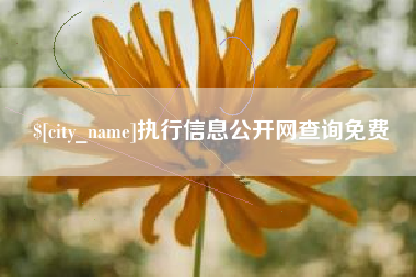 东至执行信息公开网查询免费
