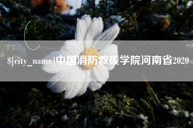 东至中国消防救援学院河南省2020